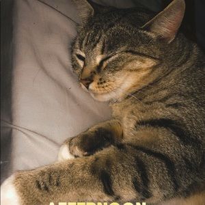 Meet your Posher, Robert